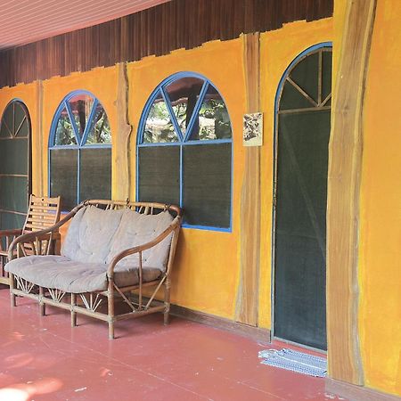 La Palapa Hut Nature Hostel Puerto Jiménez Εξωτερικό φωτογραφία