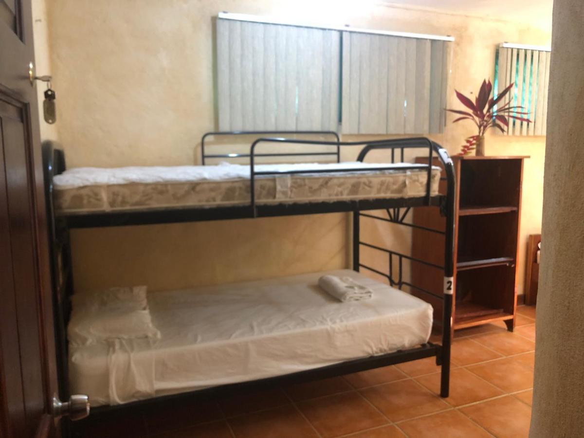 La Palapa Hut Nature Hostel Puerto Jiménez Εξωτερικό φωτογραφία
