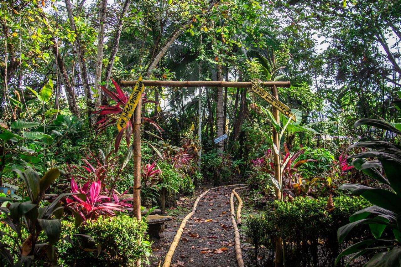 La Palapa Hut Nature Hostel Puerto Jiménez Εξωτερικό φωτογραφία