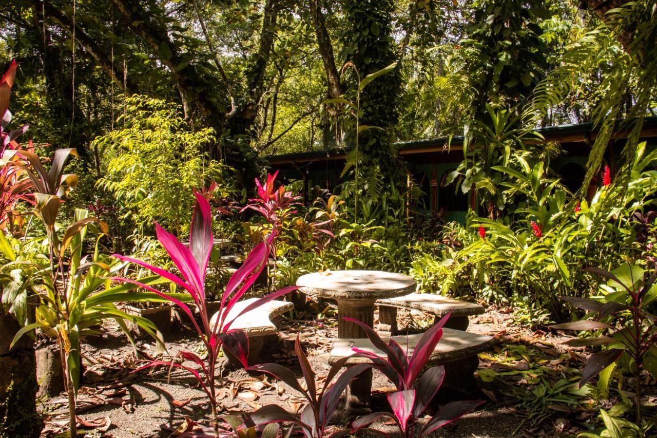 La Palapa Hut Nature Hostel Puerto Jiménez Εξωτερικό φωτογραφία