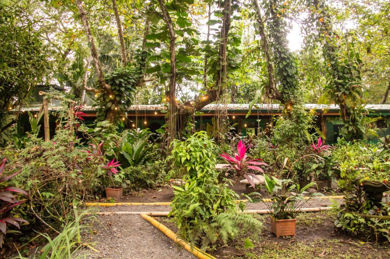 La Palapa Hut Nature Hostel Puerto Jiménez Εξωτερικό φωτογραφία