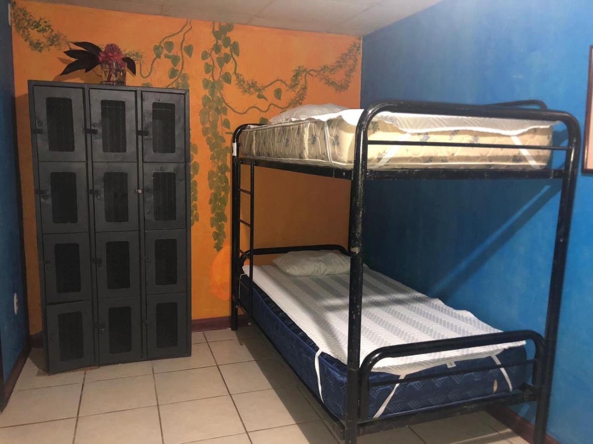 La Palapa Hut Nature Hostel Puerto Jiménez Εξωτερικό φωτογραφία